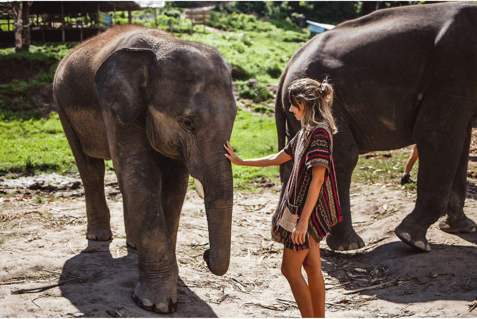 Dự án hỗ trợ kỹ thuật chuyển đổi sang mô hình du lịch thân thiện với voi