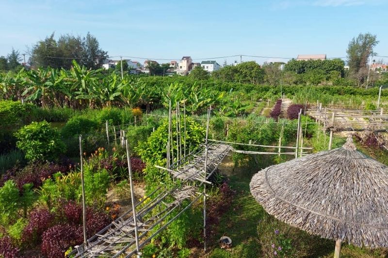 Toàn Cảnh Không Gian An Farm. Nguồn: An Farm