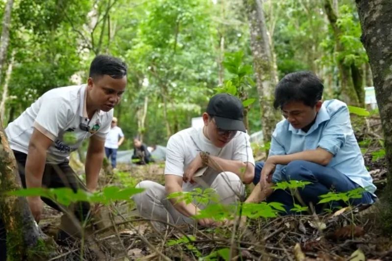 Du Lịch Sinh Thái Gắn Với Dược Liệu