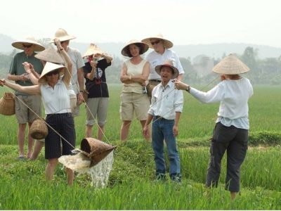 Xây Dựng Mô Hình Nghiên Cứu Các Nhân Tố ảnh Hưởng Tới Lòng Trung Thành điểm đến Của Khách Du Lịch Tại Các điểm đến Du Lịch Nông Nghiệp ở Việt Nam