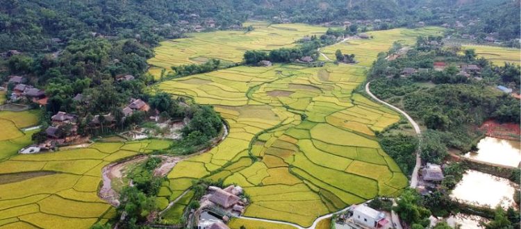 Bảo Yên